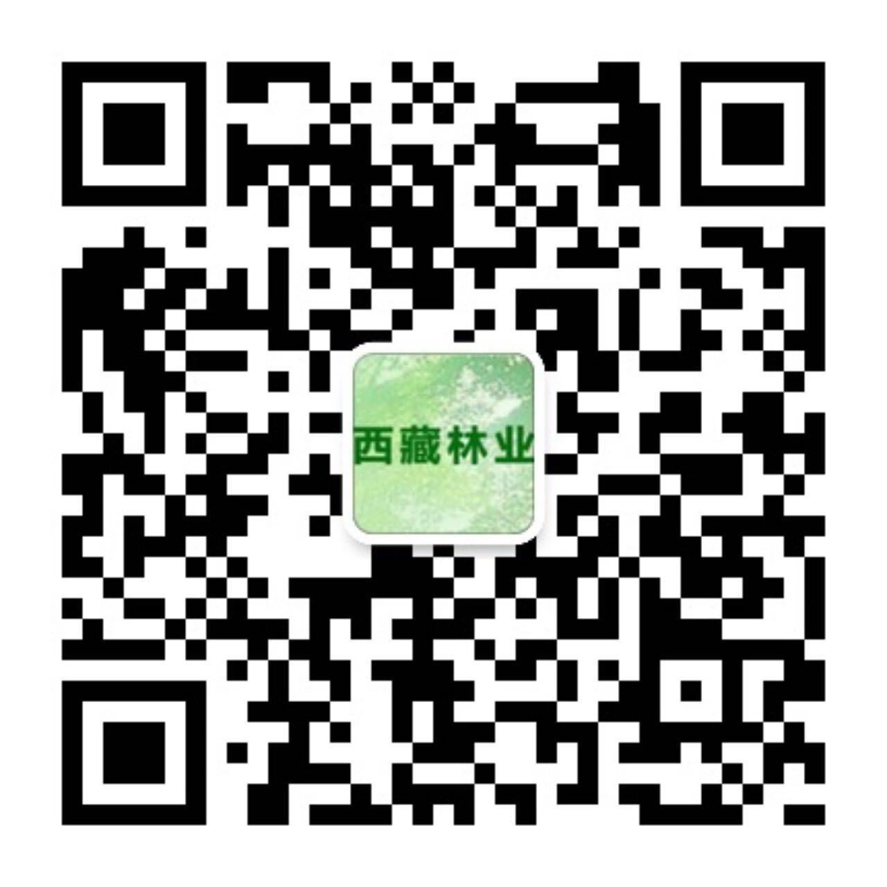 微信公眾號(hào)